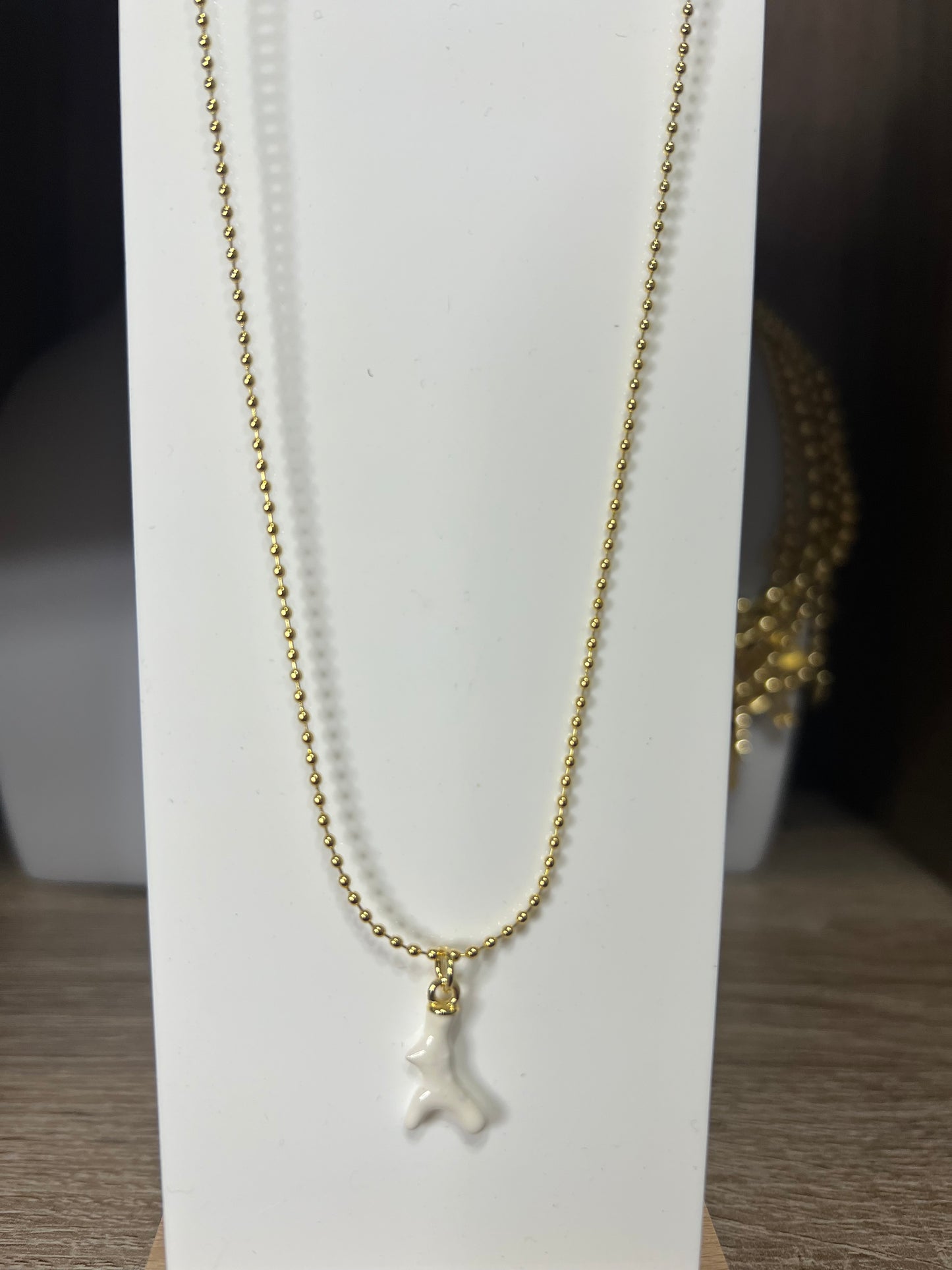 Variedad SS Necklace